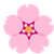 Fragrance & Perfumes